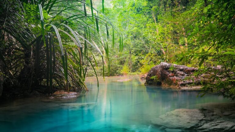 Rain Forest Thunder and Rain Sleep Sounds