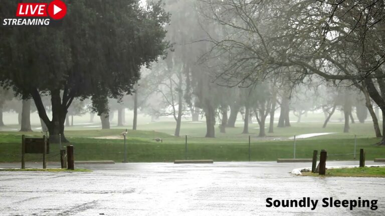 Soundly Sleeping Soft Rain Sounds