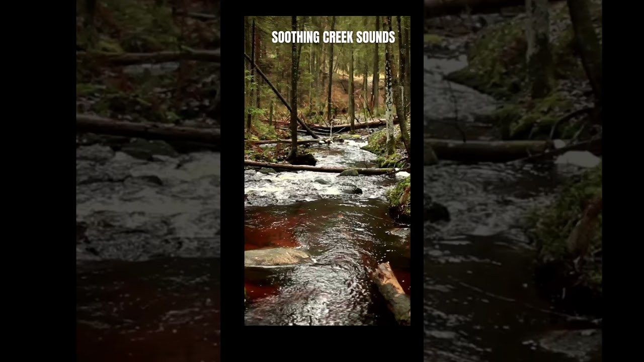 Soothing Creek Sounds #shorts
