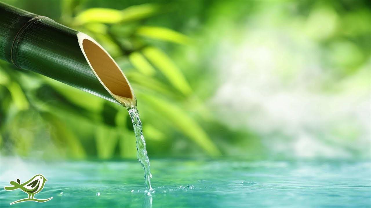 10 Hours of Relaxing Music  - Calm Piano Music, Sleep Music, Water Sounds, Meditation Music