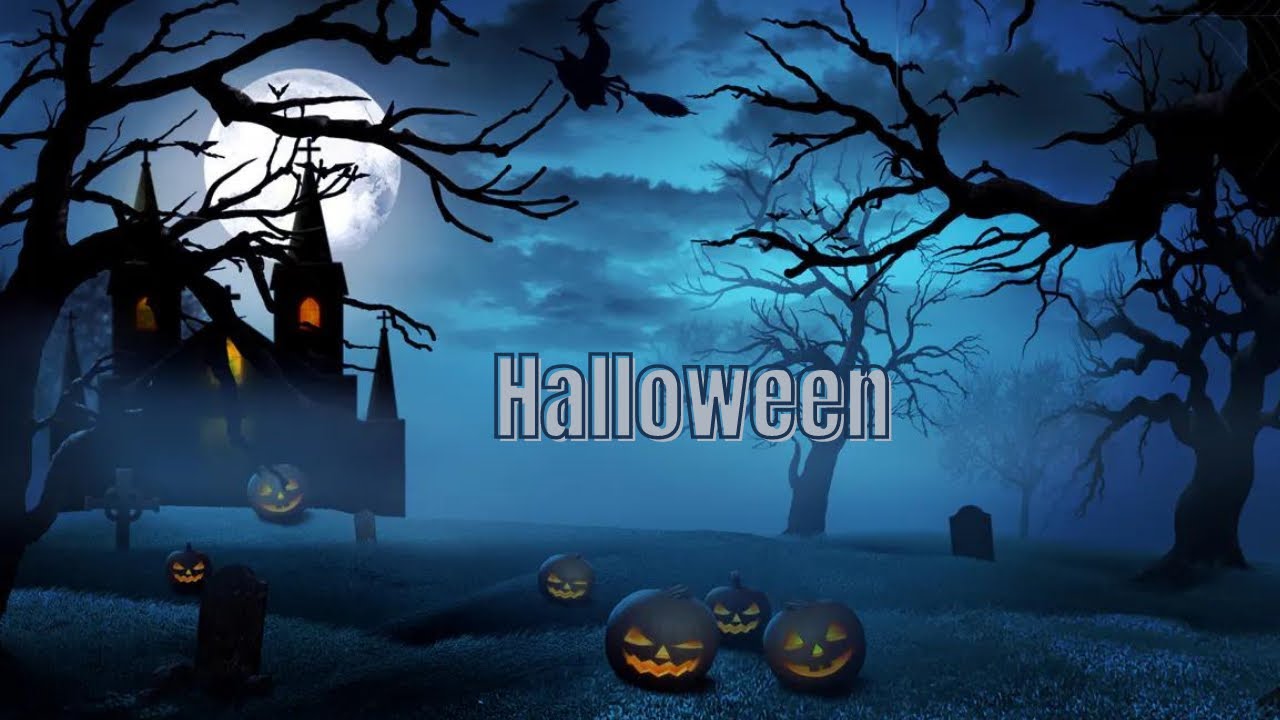 Spooky Halloween Black Cat   Black Cat Check It Out!