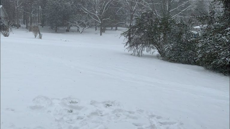 Beautiful Peaceful  Snowy Day 2022