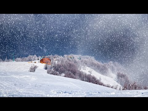 Relaxing Christmas Music [Falling Snow]