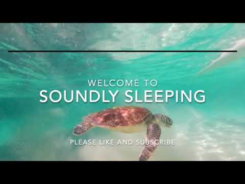 tropicalsoothingsounds