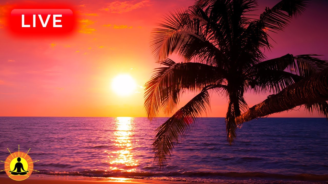 🔴 Relaxing Music 24/7, Healing Music, Meditation Music, Spa Music, Sleep, Zen, Study Music, Yoga