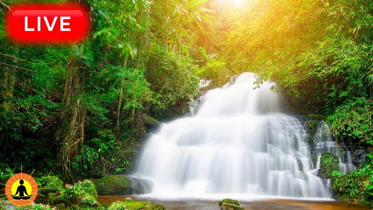 🔴 Relaxing Music 24/7, Healing Music, Meditation Music, Spa Music, Sleep, Zen, Study Music, Yoga