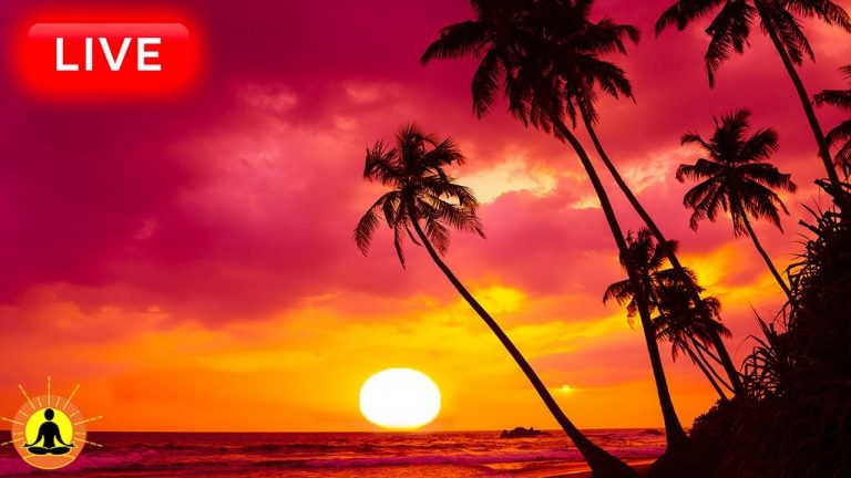 🔴 Relaxing Music 24/7, Stress Relief Music, Sleep Music, Meditation Music, Study, Calming Music