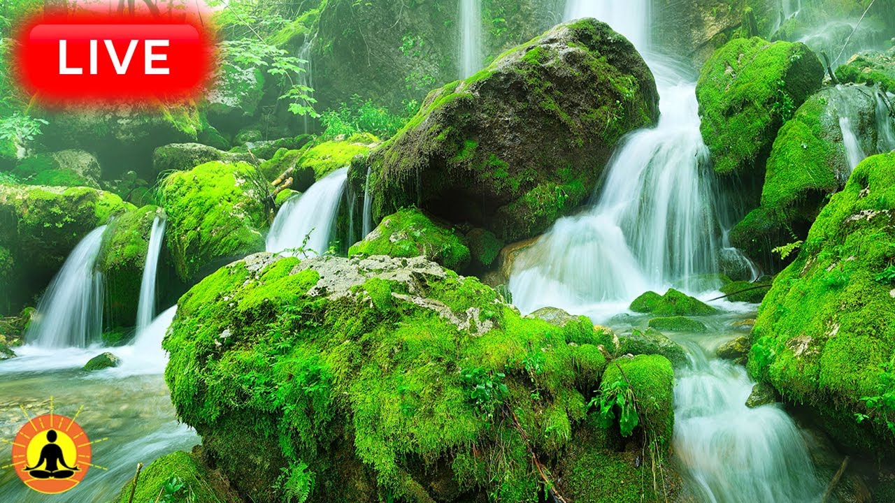 🔴 Relaxing Sleep Music 24/7, Calm Music, Yoga, Sleep Meditation, Spa, Study Music, Sleeping Music