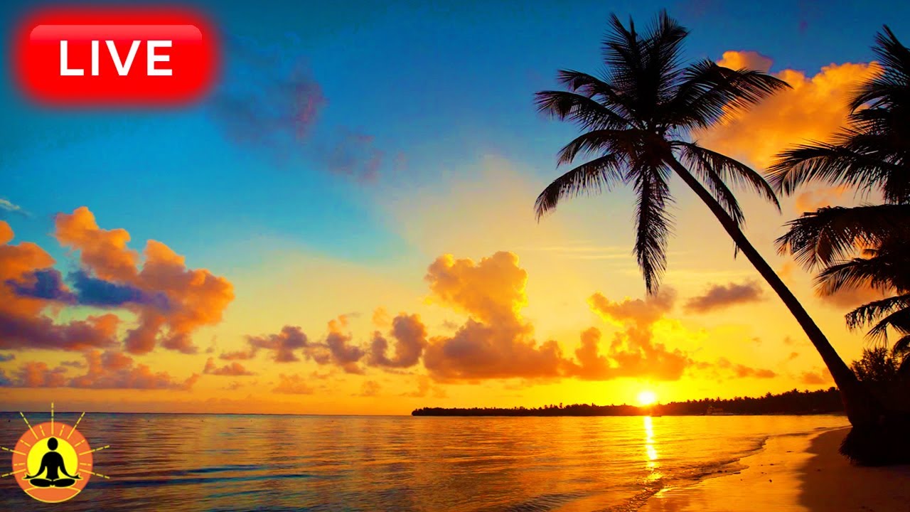 🔴 Relaxing Music 24/7, Sleep Music, Stress Relief Music, Spa, Meditation, Yoga, Zen, Sleeping Music