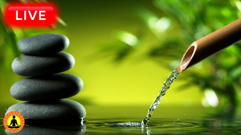 🔴 Relaxing Music 24/7, Healing Music, Meditation Music, Spa Music, Sleep, Zen, Study Music, Yoga