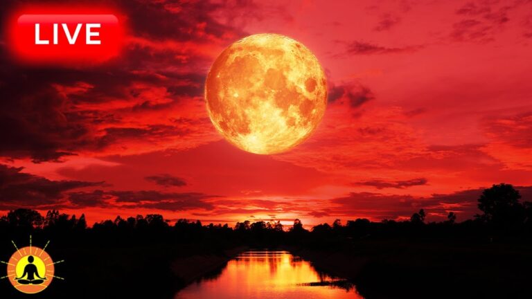 🔴 Deep Sleep Music 24/7, Calming Music, Insomnia, Sleep, Relaxing Music, Study, Sleep Meditation