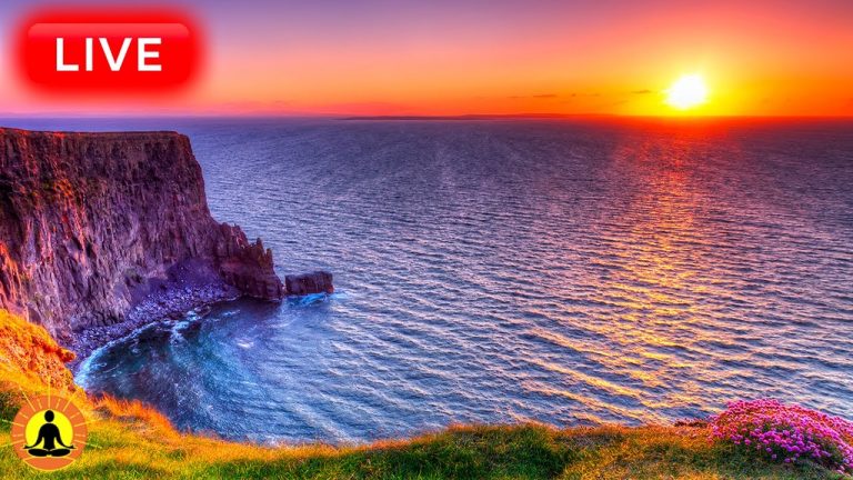 🔴 Relaxing Music 24/7, Stress Relief Music, Sleep Music, Meditation Music, Study, Calming Music