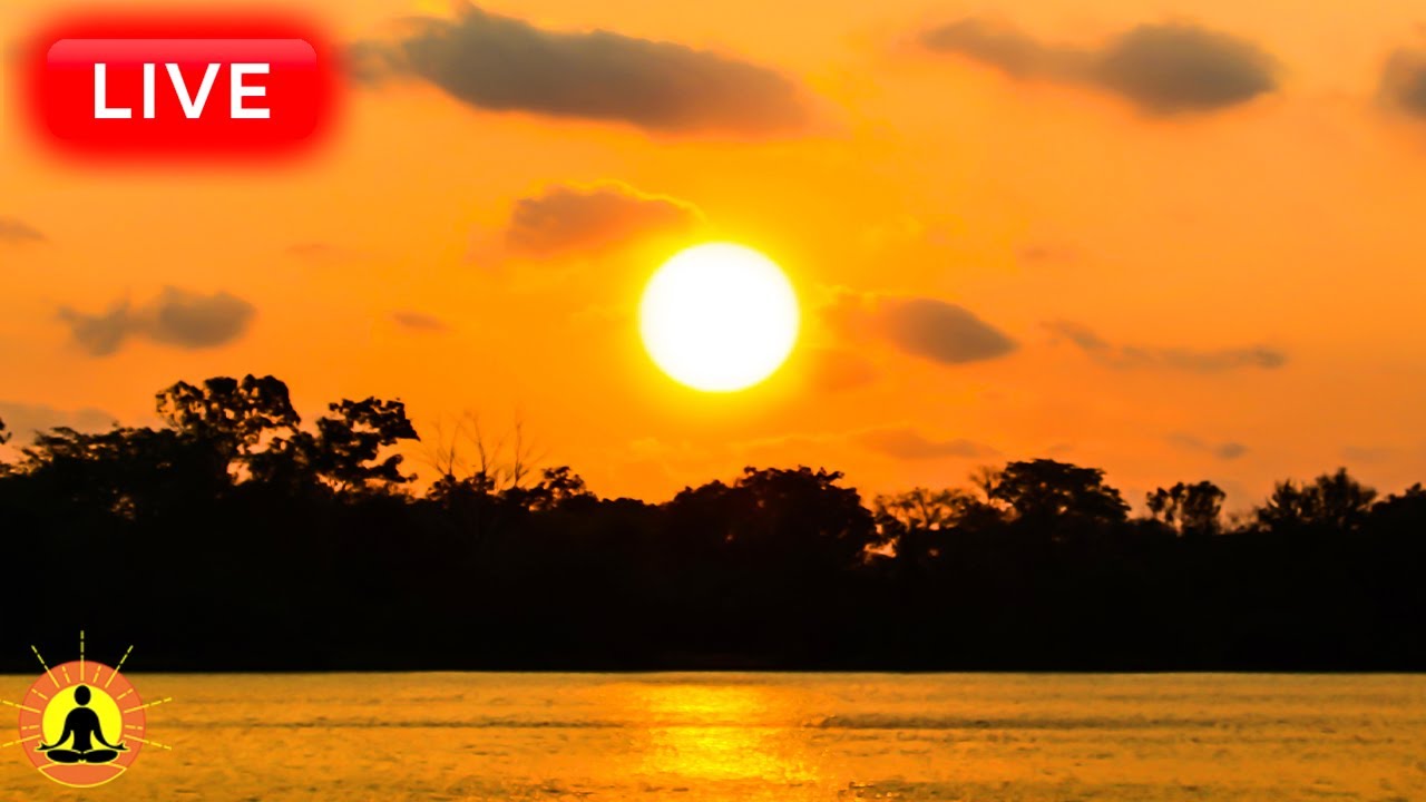 🔴 Relaxing Music 24/7, Stress Relief Music, Sleep Music, Meditation Music, Study, Calming Music