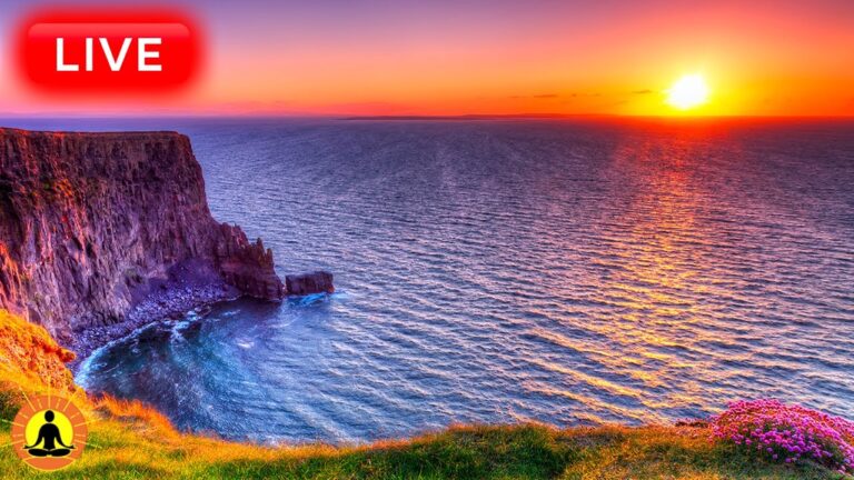 🔴 Relaxing Music 24/7, Stress Relief Music, Sleep Music, Meditation Music, Study, Calming Music