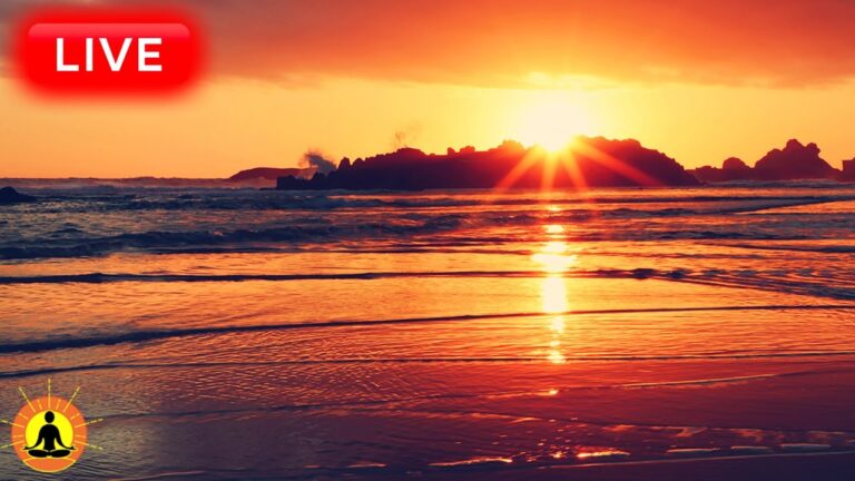 🔴 Relaxing Sleep Music 24/7, Calm Music, Yoga, Sleep Meditation, Spa, Study Music, Sleeping Music