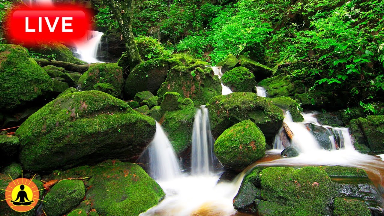 🔴 Relaxing Sleep Music 24/7, Calm Music, Yoga, Sleep Meditation, Spa, Study Music, Flowing River