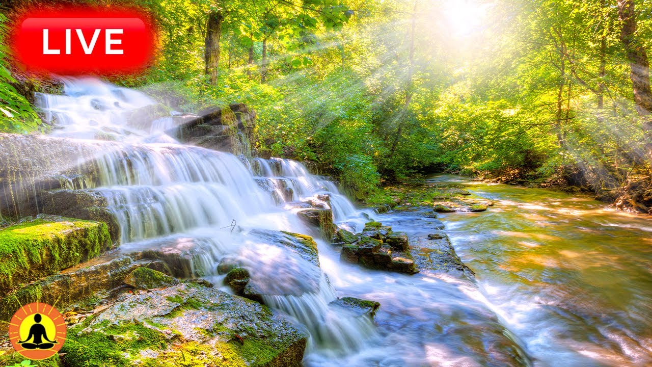 🔴 Relaxing Music 24/7, Sleep Music, Stress Relief Music, Spa, Meditation, Yoga, Zen, Flowing Stream