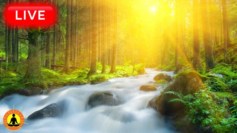 🔴 Relaxing Music 24/7, Sleep Music, Stress Relief Music, Spa, Meditation, Yoga, Zen, Sleeping Music