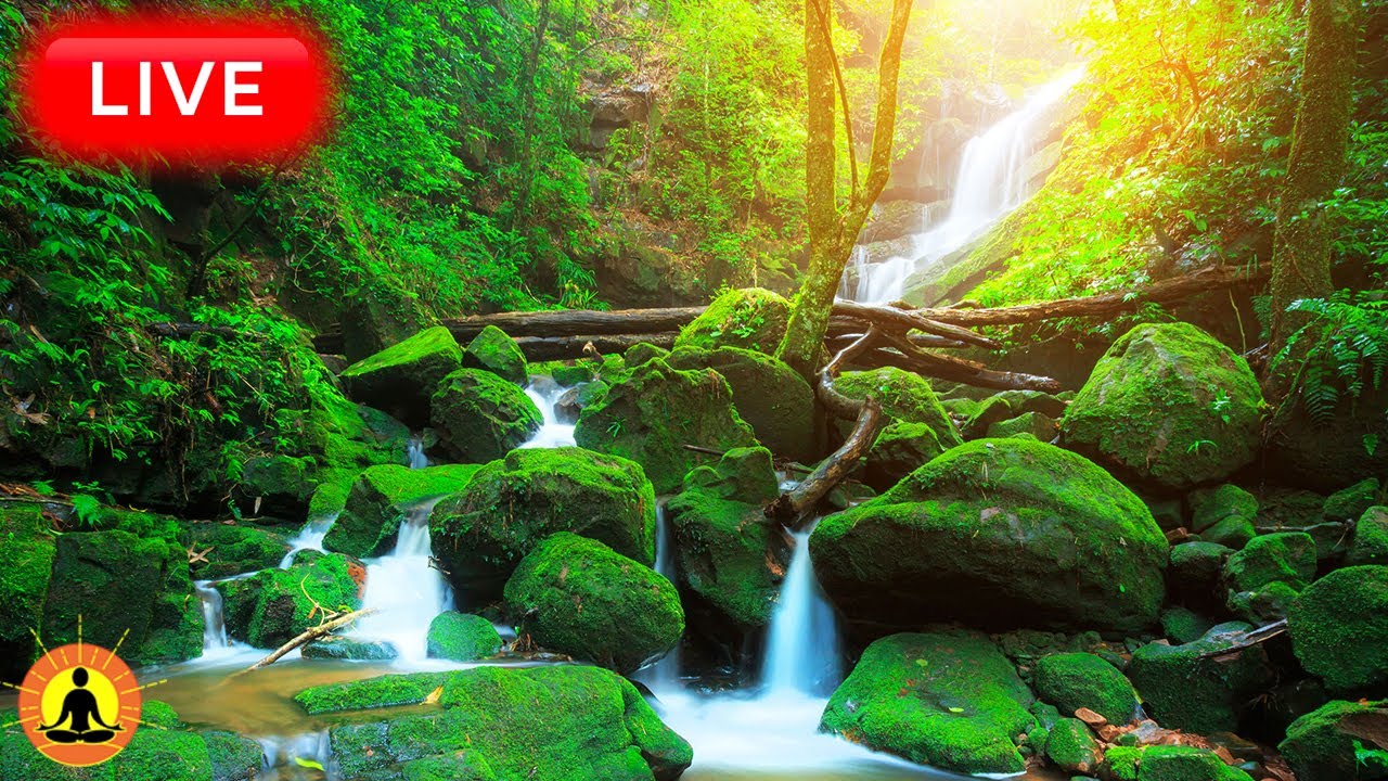 🔴 Relaxing Music 24/7, Healing Music, Meditation Music, Spa Music, Sleep, Zen, Flowing River