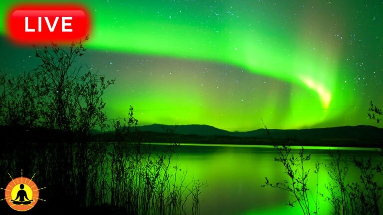 🔴 Deep Sleep Music 24/7, Sleeping Music, Insomnia, Meditation Music, Zen, Yoga, Study Music, Sleep