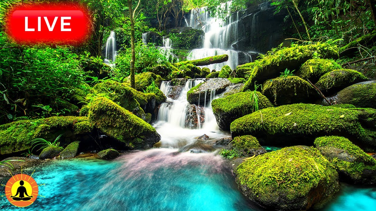 🔴 Relaxing Music 24/7, Sleep Music, Stress Relief Music, Spa, Meditation, Yoga, Zen, Flowing River