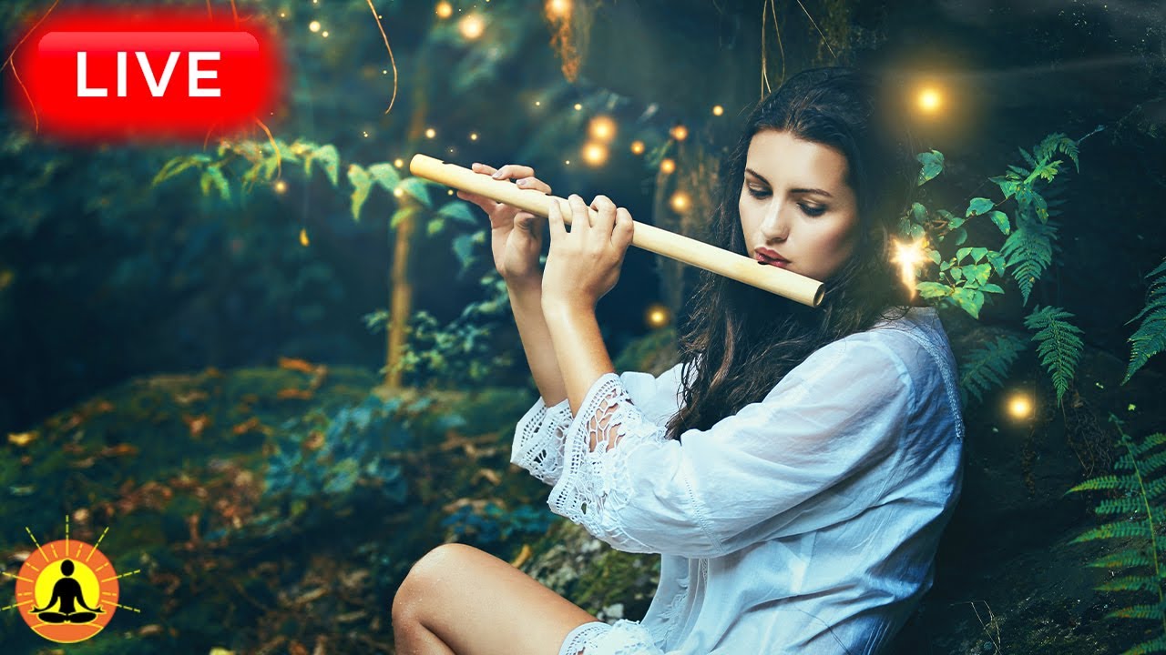 🔴 Relaxing Flute Music 24/7, Meditation, Study Music, Relaxing Music, Flute Music, Zen, Sleep Music
