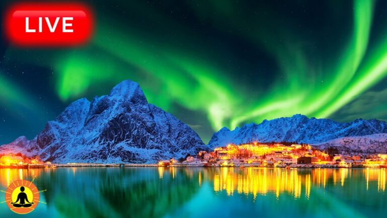 🔴 Deep Sleep Music 24/7, Calming Music, Insomnia, Sleep, Relaxing Music, Study, Sleep Meditation