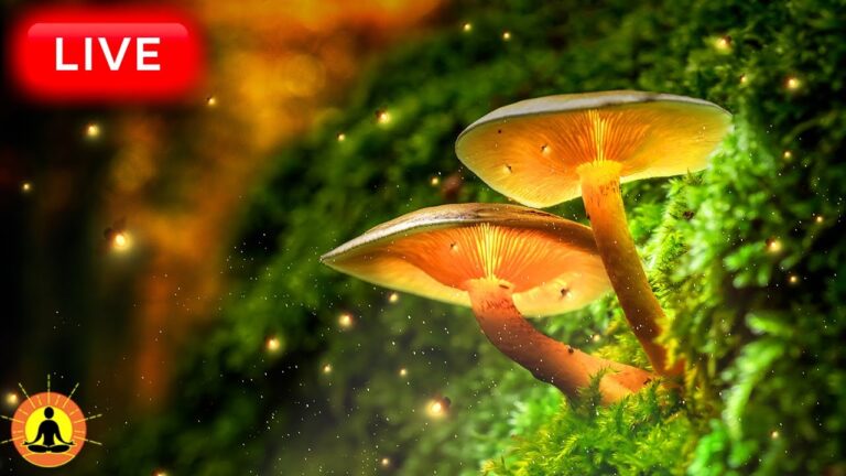 🔴 Relaxing Music 24/7, Healing Music, Meditation Music, Spa Music, Sleep, Zen, Study Music, River