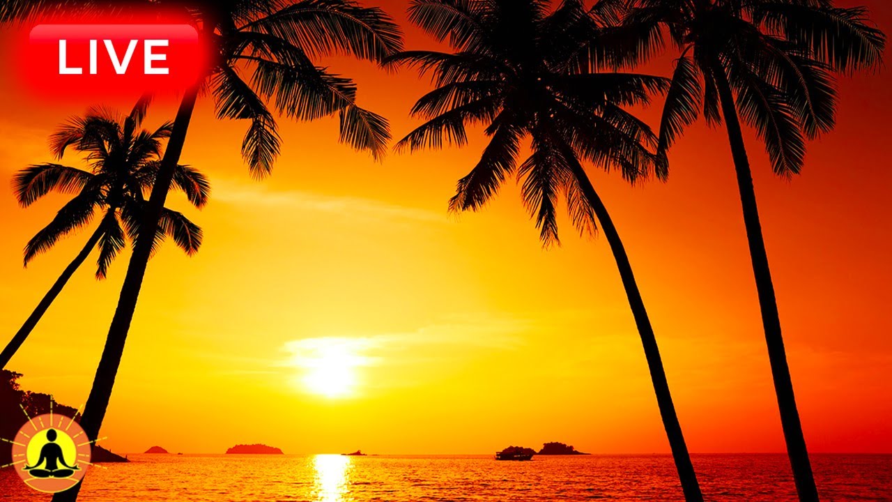 🔴 Relaxing Music 24/7, Stress Relief Music, Sleep Music, Meditation Music, Study, Calming Music