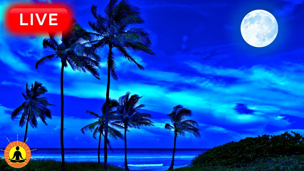 🔴 Relaxing Music 24/7, Stress Relief Music, Sleep Music, Meditation Music, Study, Calming Music