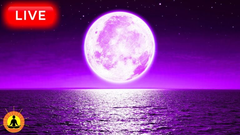 🔴 Relaxing Sleep Music 24/7, Calm Music, Yoga, Sleep Meditation, Spa, Study Music, Sleeping Music