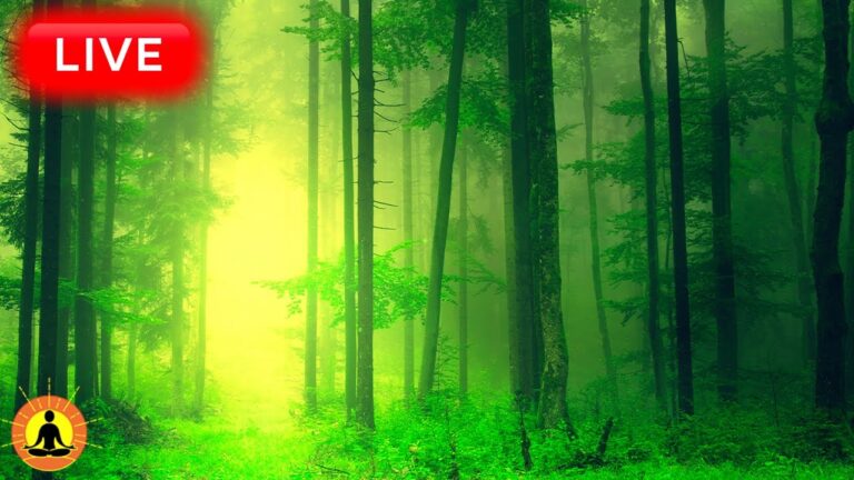 🔴 Relaxing Music 24/7, Sleep Music, Stress Relief Music, Spa, Meditation, Yoga, Zen, Sleeping Music