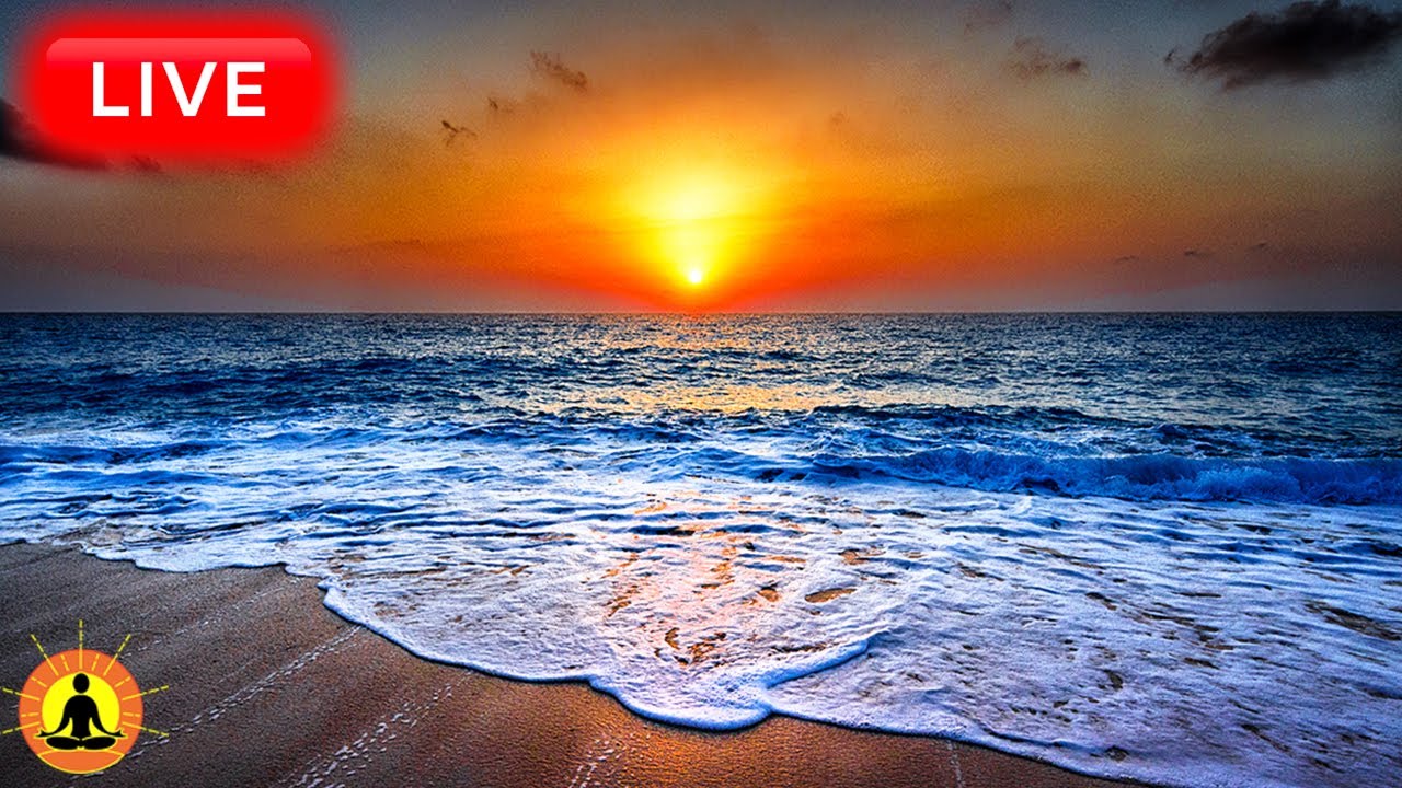 🔴 Relaxing Sleep Music 24/7, Calm Music, Yoga, Sleep Meditation, Spa, Study Music, Ocean Waves