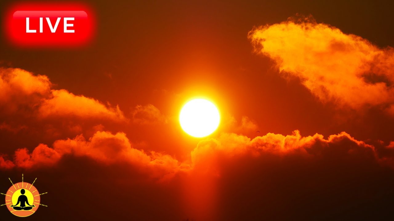 🔴 Relaxing Music 24/7, Healing Music, Meditation Music, Spa Music, Sleep, Zen, Study Music, Yoga