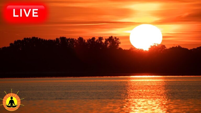 🔴 Relaxing Music 24/7, Healing Music, Meditation Music, Spa Music, Sleep, Zen, Study Music, Yoga