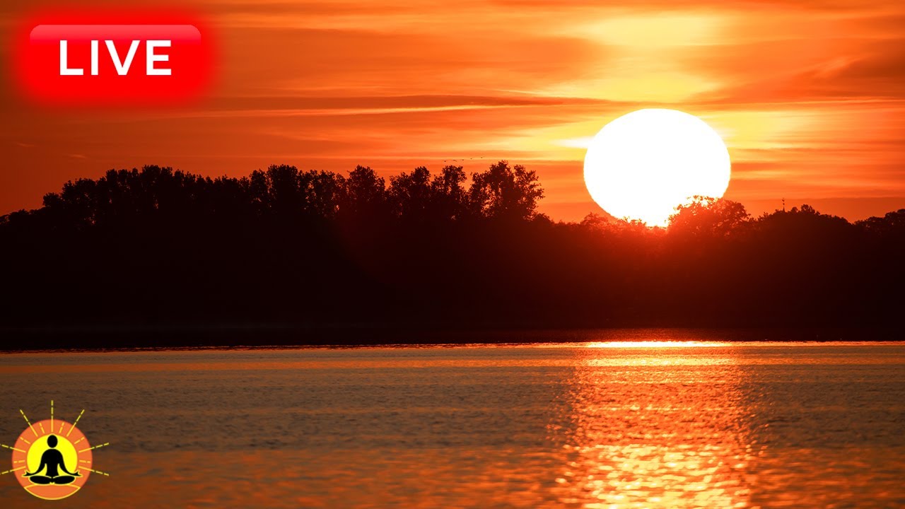 🔴 Relaxing Music 24/7, Healing Music, Meditation Music, Spa Music, Sleep, Zen, Study Music, Yoga