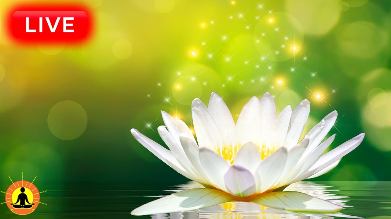 🔴 Relaxing Music 24/7, Healing Music, Meditation Music, Spa Music, Sleep, Zen, Study Music, Yoga