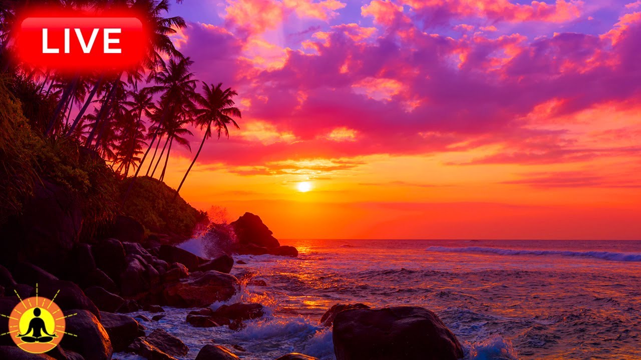 🔴 Relaxing Music 24/7, Healing Music, Meditation Music, Spa Music, Sleep, Zen, Study Music, Yoga