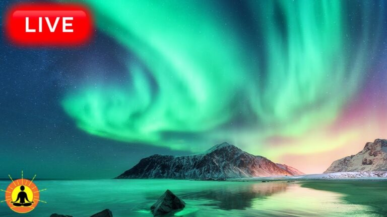 🔴 Deep Sleep Music 24/7, Sleeping Music, Insomnia, Meditation Music, Zen, Yoga, Study Music, Sleep