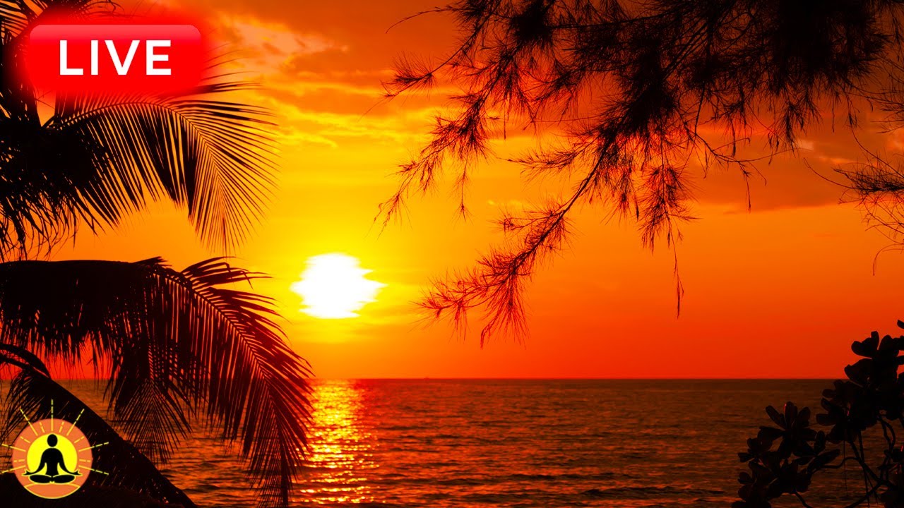 🔴 Relaxing Music 24/7, Stress Relief Music, Sleep Music, Meditation Music, Study, Ocean Sounds