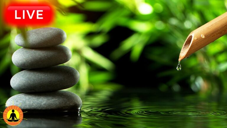 🔴 Relaxing Music 24/7, Healing Music, Meditation Music, Spa Music, Sleep, Zen, Study Music, River