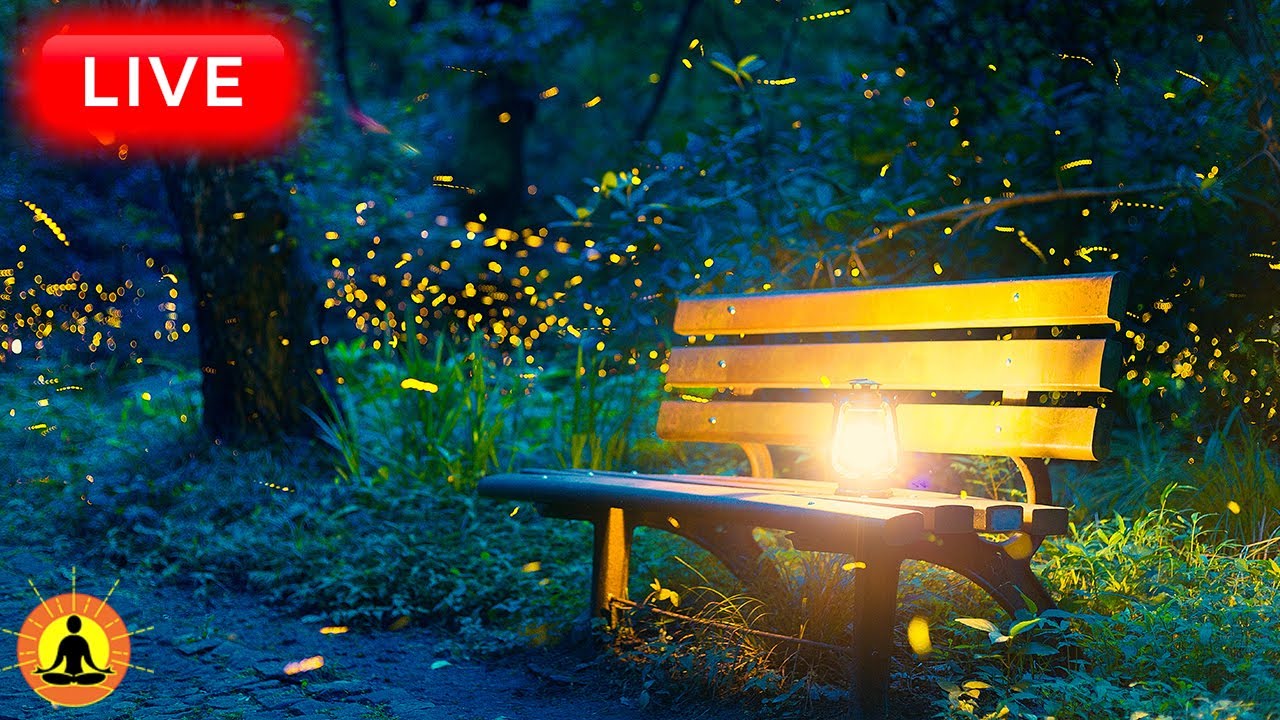🔴 Relaxing Music 24/7, Healing Music, Meditation Music, Spa Music, Sleep, Zen, Study Music, River