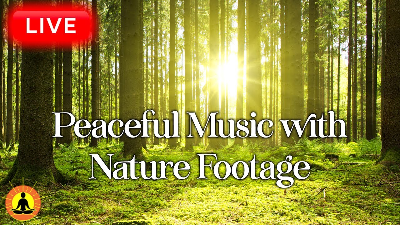 🔴 Relaxing Music 24/7, Stress Relief Music, Sleep Music, Meditation Music, Study, Calming Music