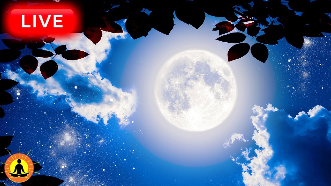🔴 Sleep Music 24/7, Meditation Music, Calming Music, Sleep, Relaxing Music, Study, Sleeping Music