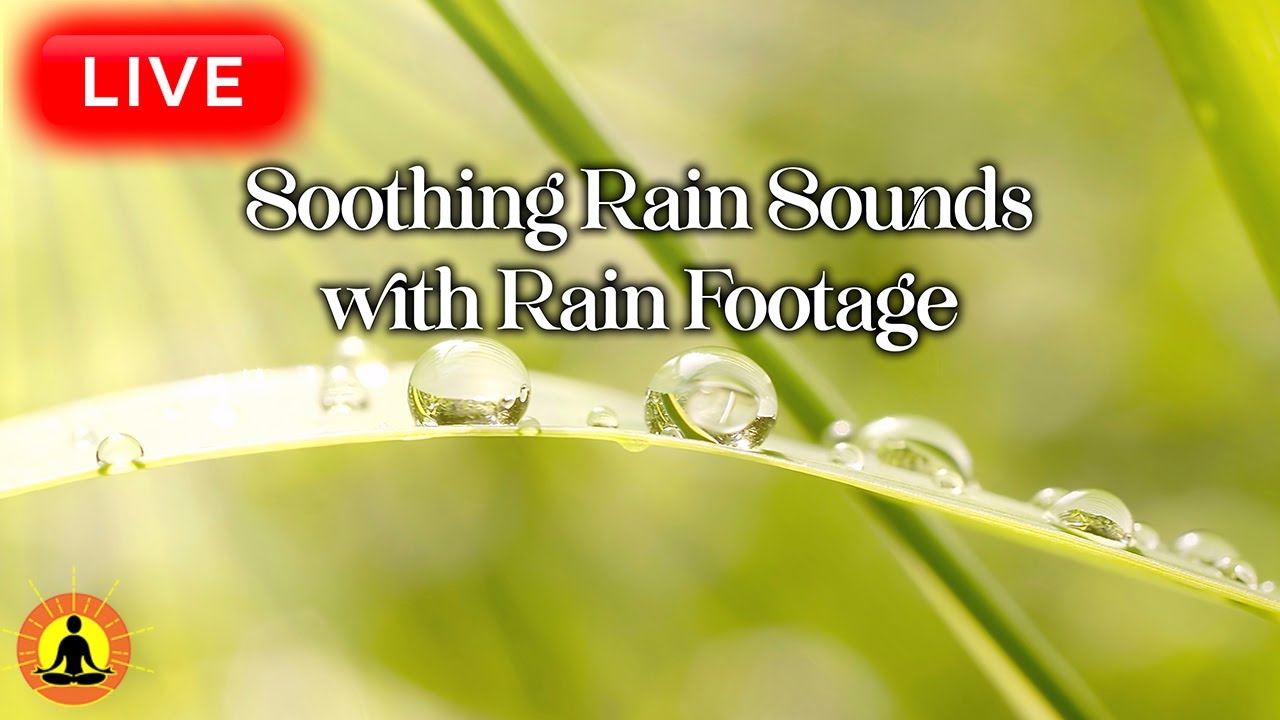 🔴 Sleep Music 24/7, Peaceful Music, Insomnia, Relaxing Music, Calming Music, Meditation Music, Rain