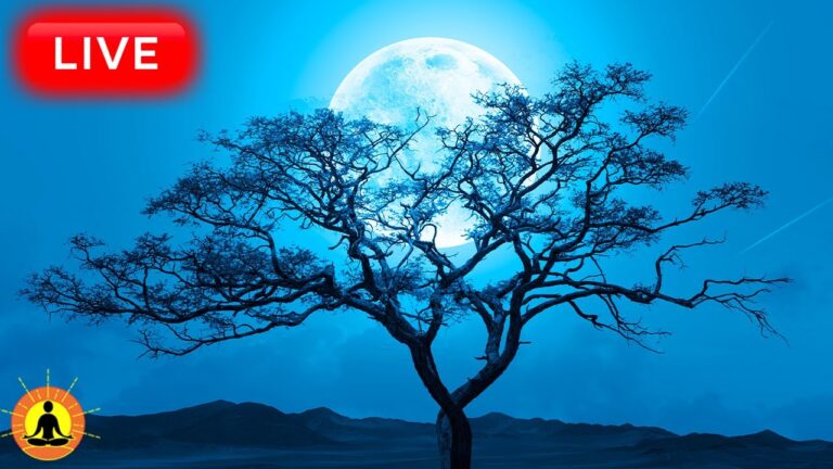 🔴 Deep Sleep Music 24/7, Calming Music, Insomnia, Sleep, Relaxing Music, Study, Rain Sounds