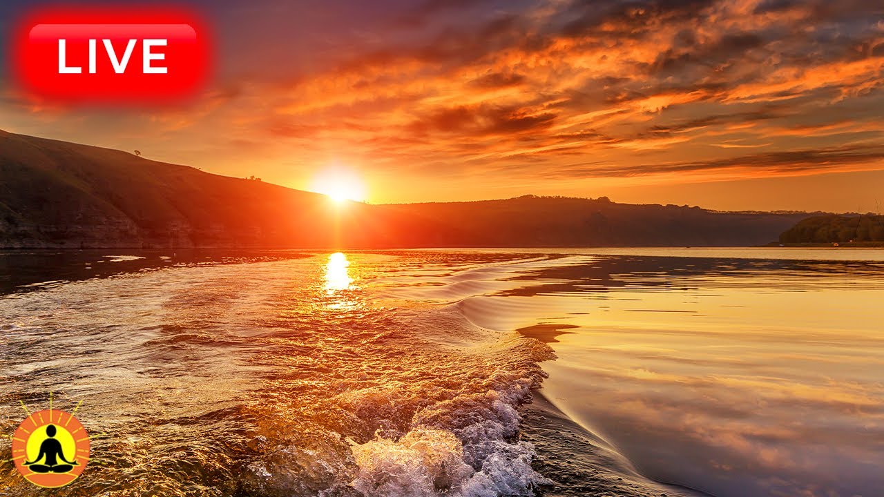 🔴 Relaxing Music 24/7, Sleep Music, Stress Relief Music, Spa, Meditation, Yoga, Zen, Sleeping Music