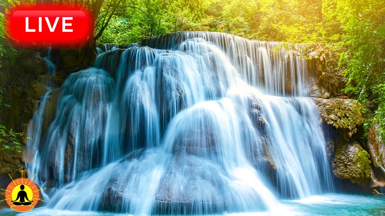 🔴 Study Music 24/7, Meditation Music, Concentration Music, Focus, Relaxing Music, Calm Music, Study