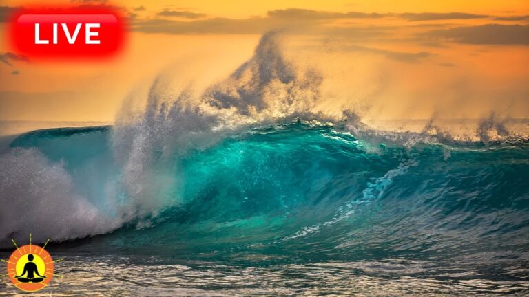 🔴 Relaxing Sleep Music 24/7, Calm Music, Yoga, Sleep Meditation, Spa, Study Music, Ocean Waves