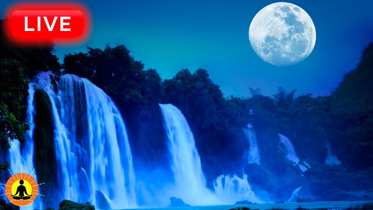 🔴 Deep Sleep Music 24/7, Sleeping Music, Insomnia, Meditation Music, Zen, Yoga, Study Music, Sleep